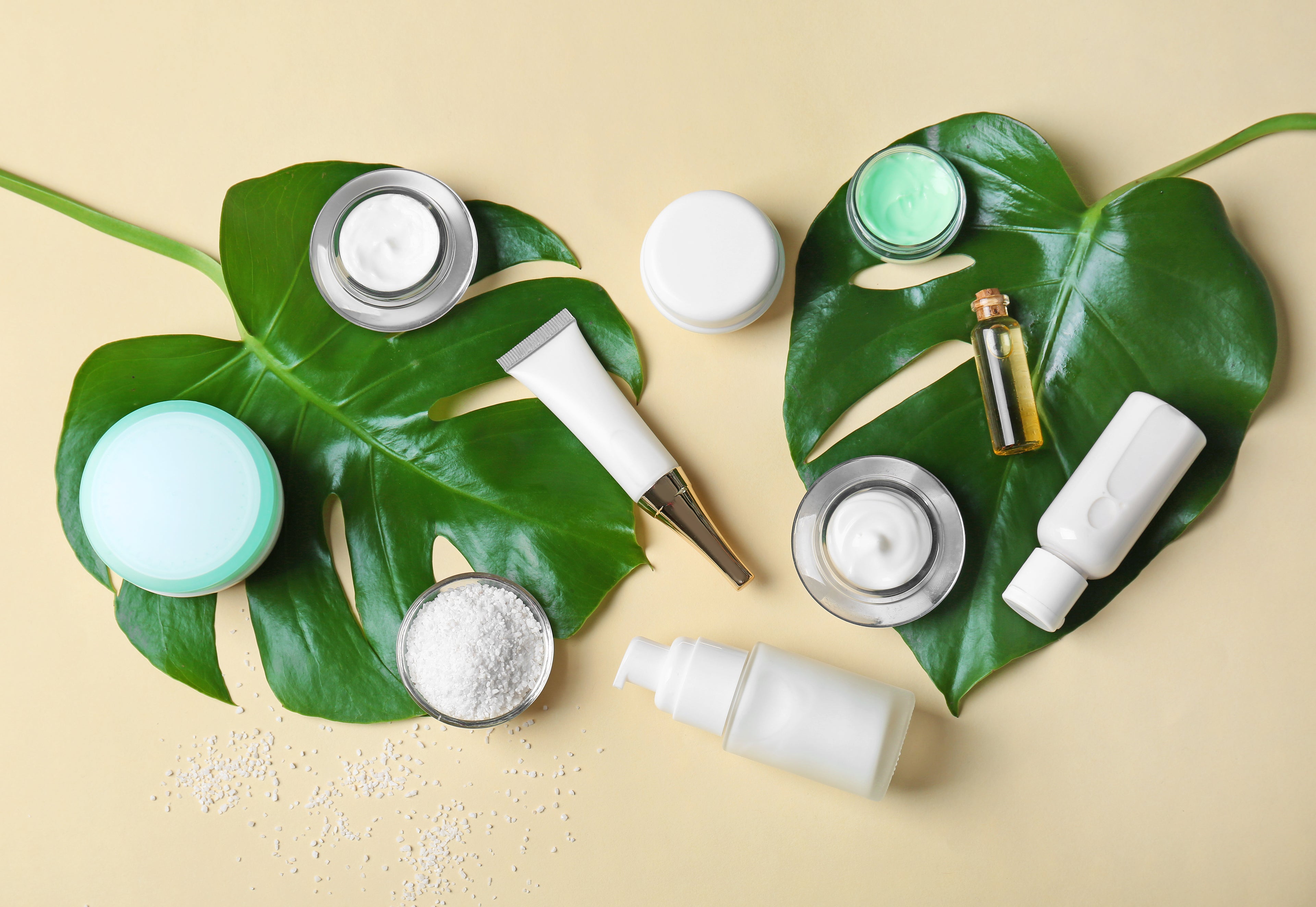 Botanical Face Cream image 3