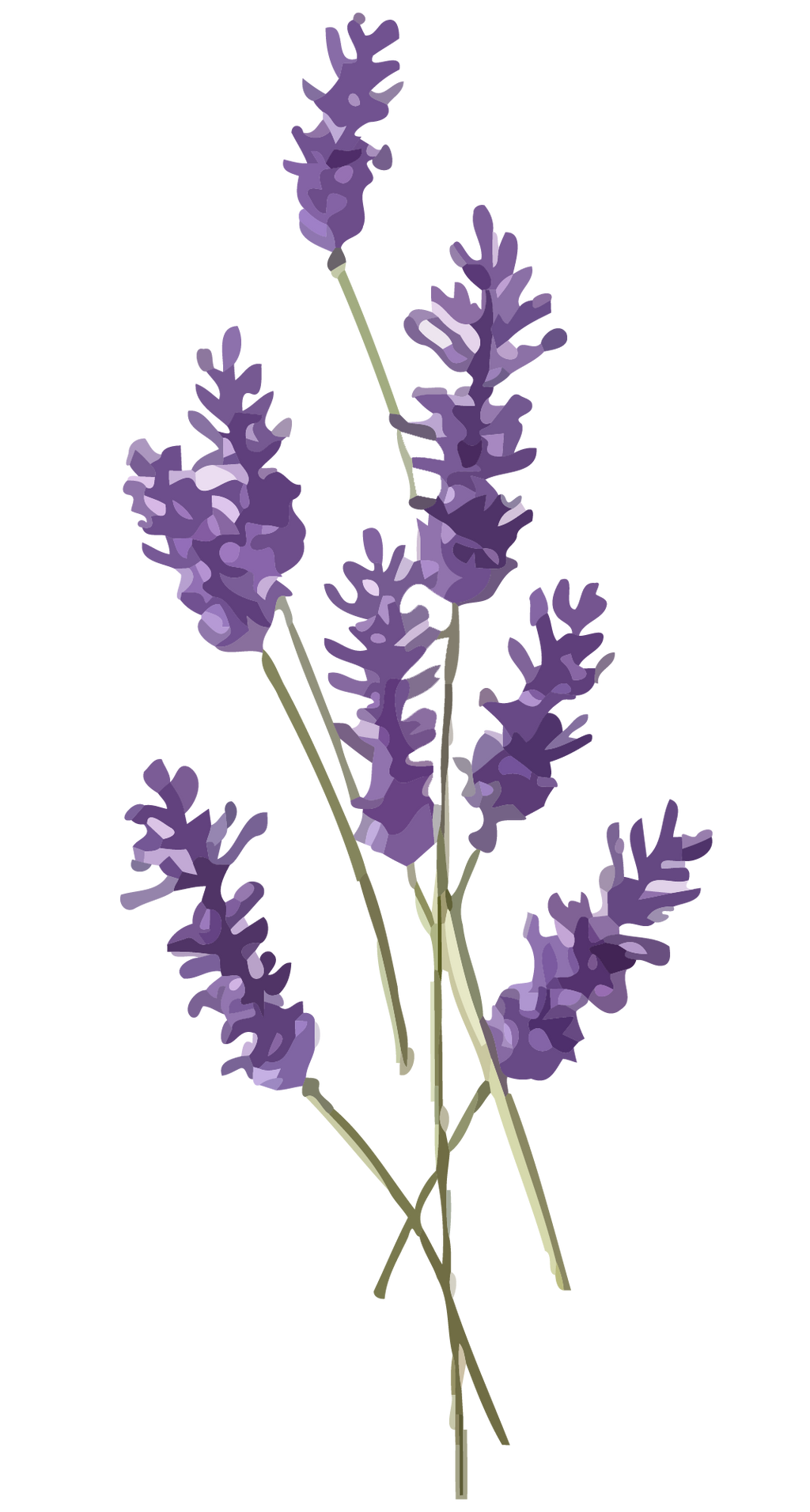 Botanical Body Lotion image 3